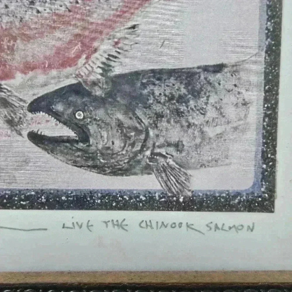 Chinook Salmon framed print - Picture 5 of 10